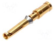 Contact; female; copper alloy; gold-plated; 2.5mm2; 14AWG; crimped HARTING