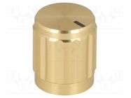 Knob; with pointer; aluminium,thermoplastic; Øshaft: 6mm; golden SR PASSIVES