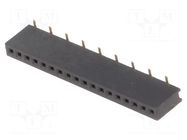 Connector: pin strips; socket; female; PIN: 18; straight; 1A; SMT CONNFLY