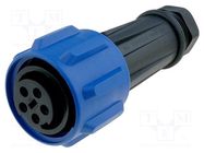 Connector: circular; plug; female; PIN: 5; Buccaneer 900; for cable BULGIN