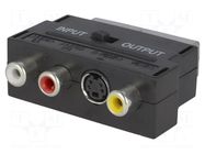 Adapter; RCA socket x3,SCART plug,SVHS socket 4pin CHANGZHOU DAHUA IMP AND EXP (GROUP) CO