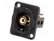 Coupler; RCA socket,both sides; FT; XLR standard; 19x24mm CLIFF