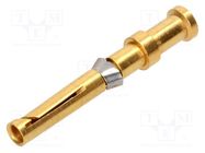 Contact; female; copper alloy; gold-plated; 0.75mm2; 18AWG; 10A HARTING