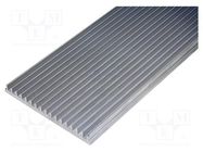 Heatsink: extruded; grilled; L: 1000mm; W: 150mm; H: 15mm; aluminium STONECOLD