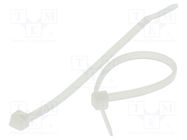 Cable tie; L: 1.22m; W: 9mm; polyamide; 800N; natural; Ømax: 375.5mm BM GROUP