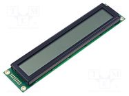 Display: LCD; alphanumeric; FSTN Positive; 20x2; black; LED; PIN: 16 RAYSTAR OPTRONICS