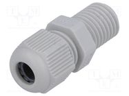 Cable gland; with long thread; M12; 1.5; IP68; polyamide; grey FIBOX