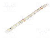 LED tape; white cold; 3528; 12V; LED/m: 96; 10mm; white PCB; 120° OPTOFLASH