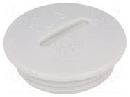 Stopper; PG16; IP54; polystyrene; light grey; SKINDICHT®; 6mm LAPP