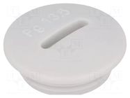 Stopper; PG13,5; IP54; polystyrene; light grey; SKINDICHT®; 6mm LAPP
