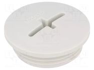 Stopper; M25; 1.5; IP54; polyamide; light grey; SKINDICHT®; 8mm LAPP