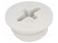 Stopper; M12; 1.5; IP54; polyamide; light grey; SKINDICHT®; 6mm LAPP