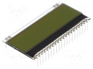 Display: LCD; alphanumeric; STN Positive; 16x2; yellow-green; 1x20 DISPLAY VISIONS