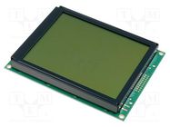 Display: LCD; graphical; 160x128; STN Positive; yellow-green; LED 