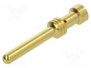 Contact; male; copper alloy; gold-plated; 1.5mm2; 16AWG; crimped HARTING