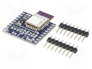 Bluetooth Low Energy module; prototype board; Modulowo DuoNect MODULOGY