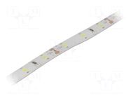 LED tape; white cold; 3528; LED/m: 60; 8mm; white PCB; 120°; 4.8W/m OPTOFLASH