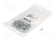 Set of screws; steel; 100pcs. HAMMOND