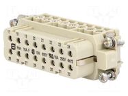 Connector: HDC; contact insert; female; 16A; 250V; Han® A; PIN: 16 HARTING