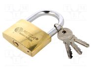 Padlock; shackle; Application: gates,cabinets,sheds; Mat: brass MEGA