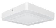 WALL/CEILING LIGHT, WARM WHT/LED, 240VAC