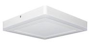 WALL/CEILING LIGHT, WARM WHT/LED, 240VAC