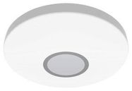 CEILING LIGHT, WARM WHITE, LED, 240VAC