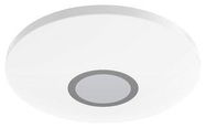 CEILING LIGHT, WARM WHITE, LED, 240VAC