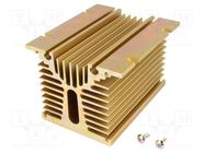 Heatsink: extruded; Y; golden; L: 120mm; W: 100mm; H: 81mm; aluminium 