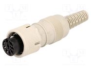 Connector: DIN; plug; female; PIN: 8; Layout: 262°; straight HIRSCHMANN