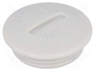 Stopper; PG36; IP54; polystyrene; light grey; SKINDICHT® BLK; 10mm LAPP