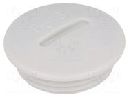Stopper; PG36; IP54; polystyrene; light grey; SKINDICHT®; 10mm LAPP