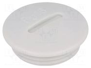 Stopper; PG36; IP54; polystyrene; light grey; SKINDICHT®; 10mm LAPP