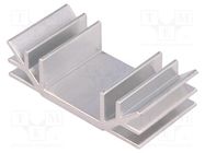 Heatsink: extruded; U; L: 35mm; W: 70mm; H: 19mm; aluminium STONECOLD