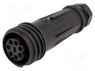 Connector: circular; plug; female; PIN: 7; Buccaneer 900; for cable BULGIN