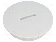 Stopper; PG29; IP54; polystyrene; light grey; SKINDICHT® BLK; 8mm LAPP