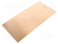 Laminate; FR4,epoxy resin; 0.6mm; L: 210mm; W: 100mm 