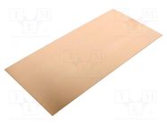 Laminate; FR4,epoxy resin; 0.6mm; L: 210mm; W: 100mm 