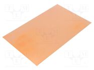 Laminate; FR4,epoxy resin; 0.6mm; L: 160mm; W: 100mm 