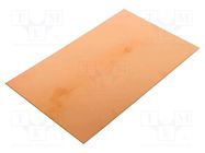 Laminate; FR4,epoxy resin; 0.6mm; L: 160mm; W: 100mm 