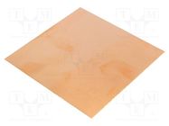 Laminate; FR4,epoxy resin; 0.6mm; L: 100mm; W: 100mm 