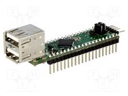 Module: USB; USB; Supply output: 3.3VDC/200mA; DIP Vinculum II FTDI