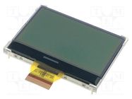 Display: LCD; graphical; 128x64; COG,STN Positive; gray; LED RAYSTAR OPTRONICS