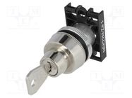 Switch: rotary with key; 22mm; Stabl.pos: 2; grey; IP40; prominent PROMET