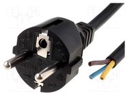 Cable; 3x1mm2; CEE 7/7 (E/F) plug,wires; PVC; 3m; black; 10A; 250V LIAN DUNG