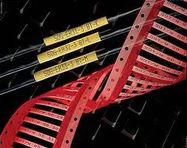 HEATSHRINK, SLEEVE, 6.4MM, YEL, BX250