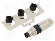 Connector: M8; male; PIN: 3; straight; for cable; plug; Slimline; 4A MURR ELEKTRONIK