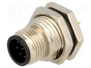 Connector: M12; socket; PIN: 8; male; A code-DeviceNet / CANopen AMPHENOL LTW