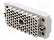 Connector: rectangular; socket; hermaphrodite; Mat: polycarbonate EDAC