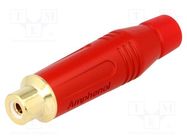 Connector: RCA; plug; female; straight; soldering; red; gold-plated AMPHENOL